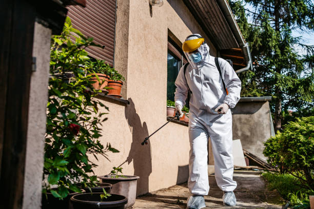 Best Residential Pest Control  in Lebanon, VA