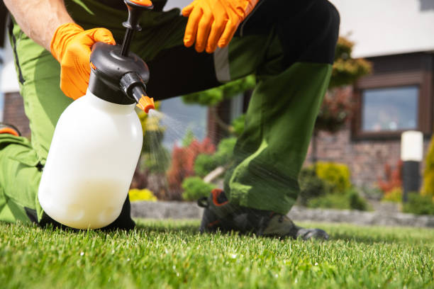 Best Insect Control  in Lebanon, VA